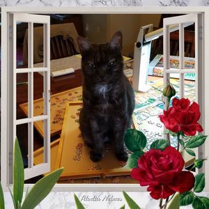 Meet your Posher, Barbara